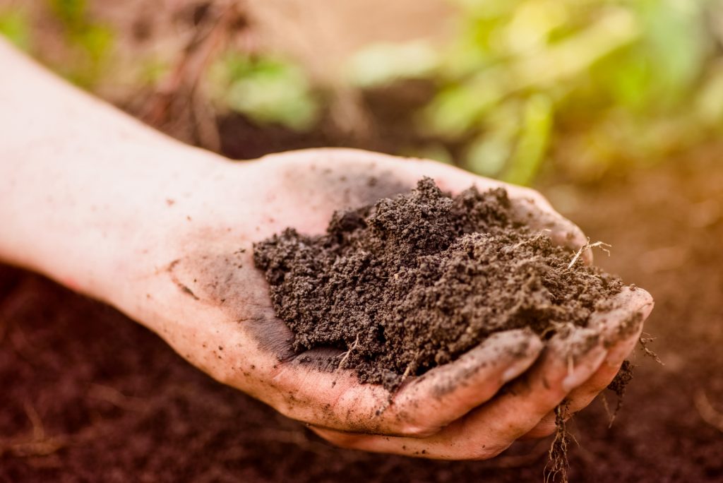 How Much Does A Yard Of Topsoil Weigh? Find Your Answer Here