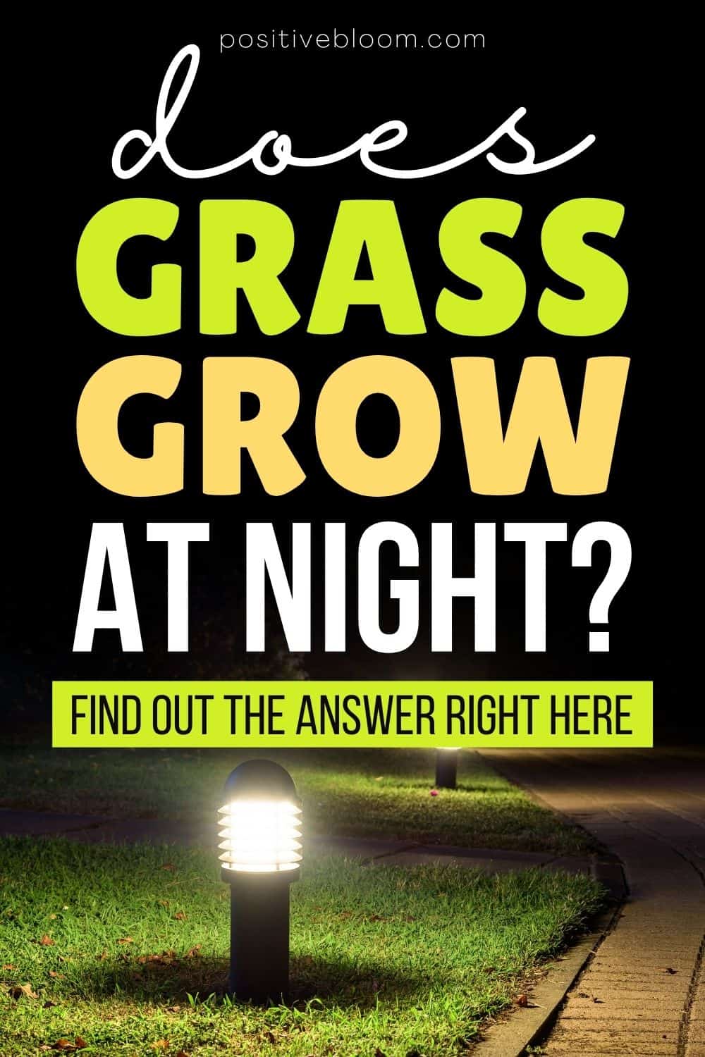Does Grass Grow At Night Find Out The Answer Right Here