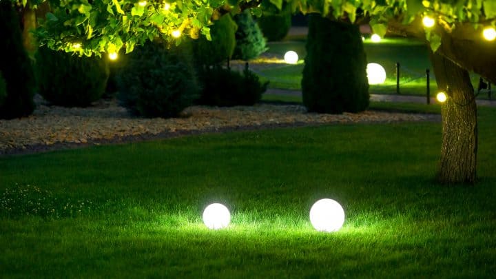 Does Grass Grow At Night? Find Out The Answer Right Here