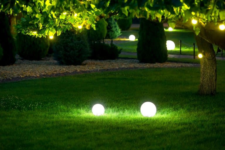 beautiful green grass with light balls at night