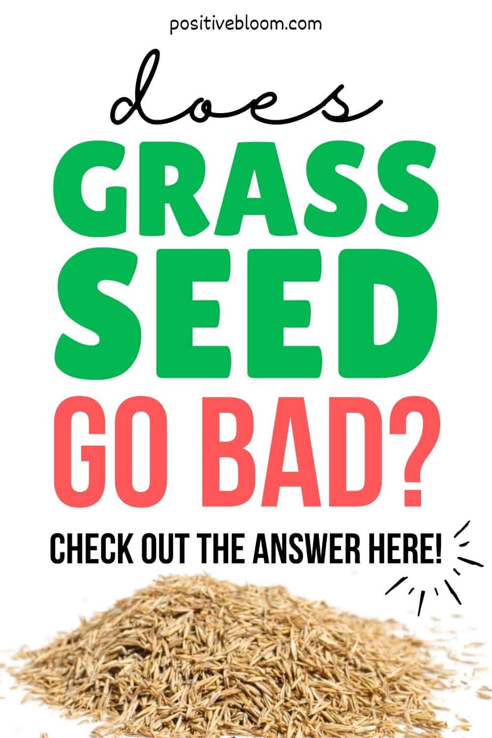 Does Grass Seed Go Bad Check Out The Answer Here!