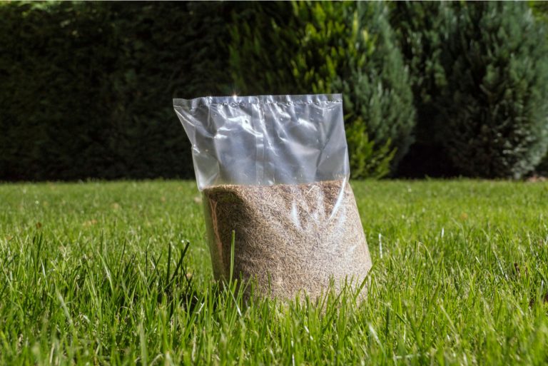 bag full of grass seeds outdoor on green grass