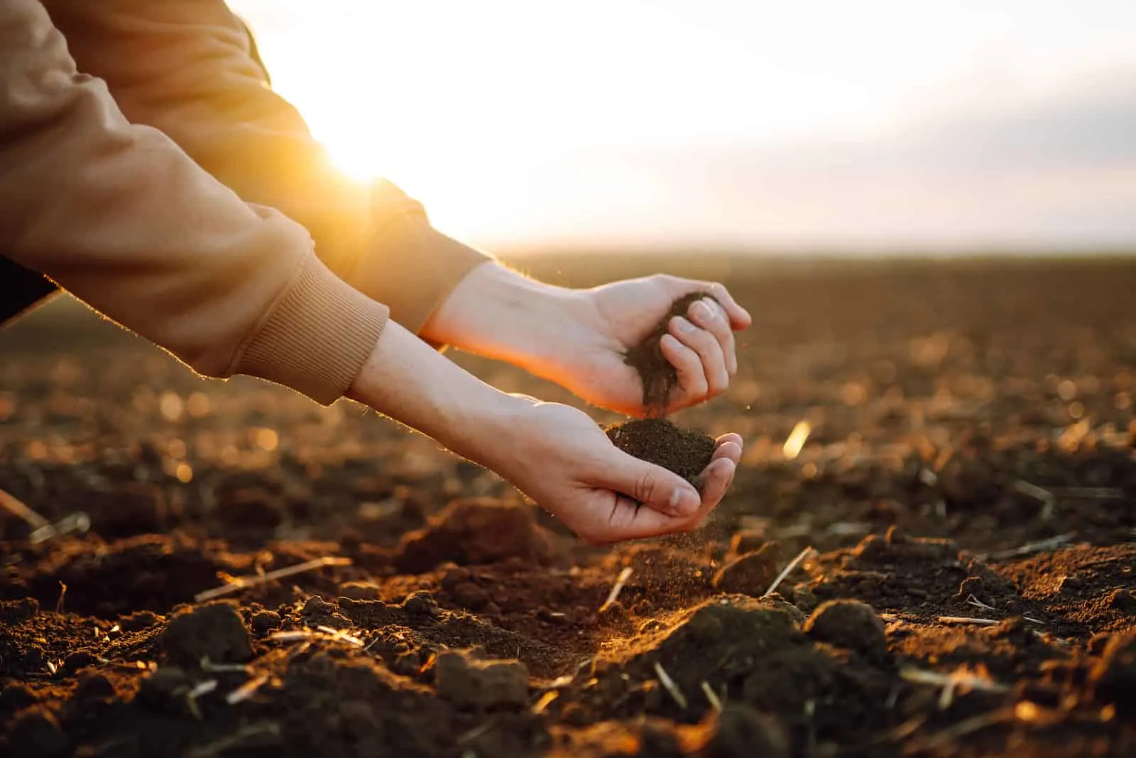 Farmer holding soil in hands