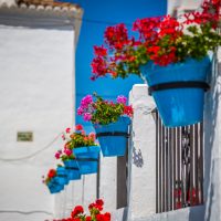 flower pots on a street in Spain