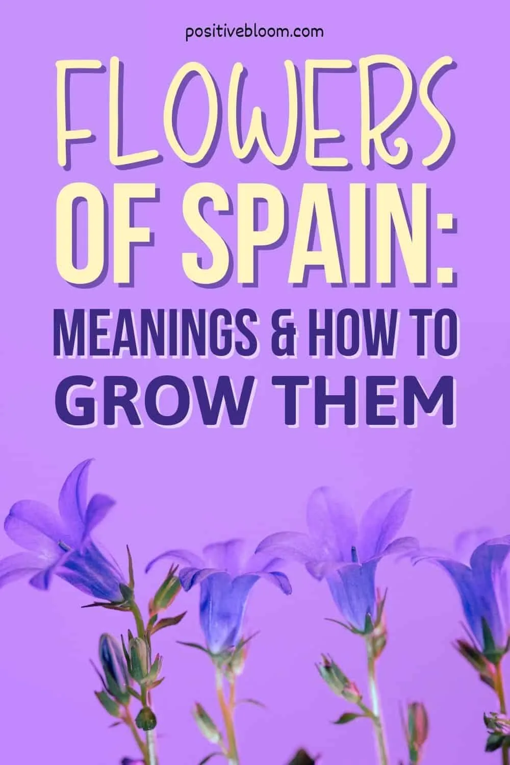 Flowers Of Spain Meanings & And How To Grow Them Pinterest