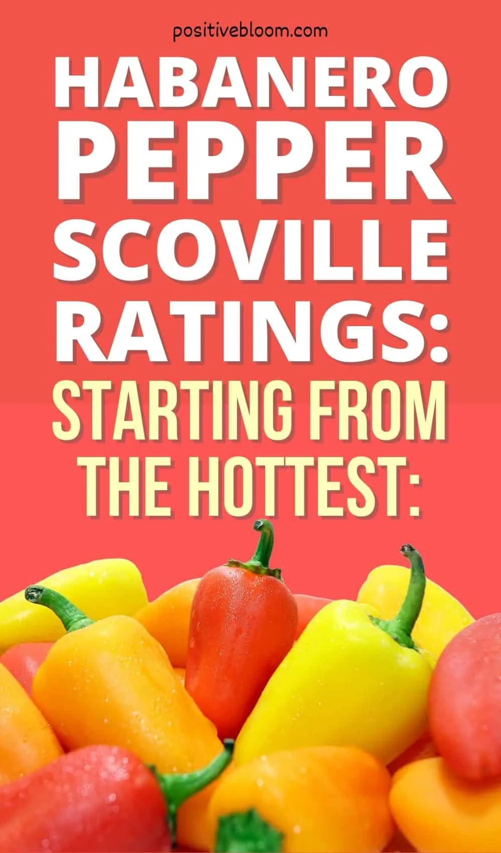 Habanero Pepper Scoville Ratings Starting From The Hottest