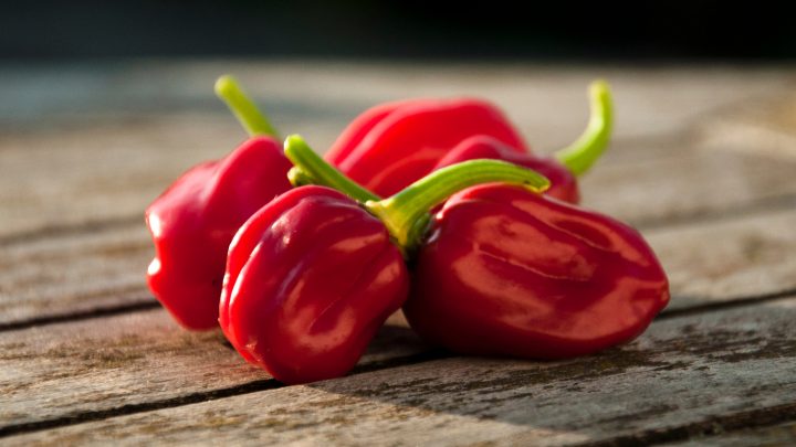 Habanero Pepper Scoville Ratings: Starting From The Hottest