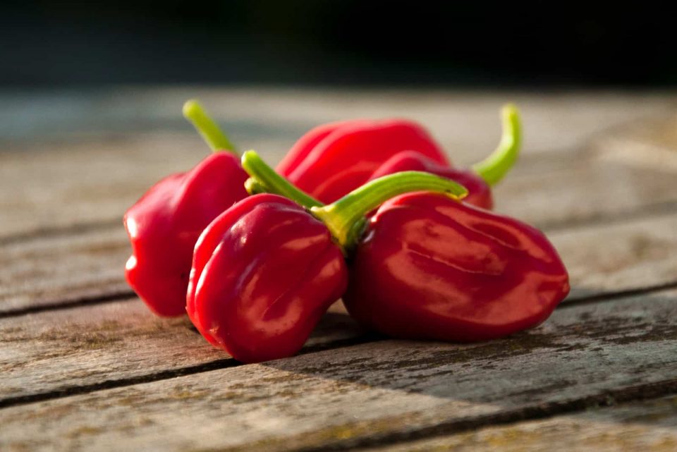 Habanero Pepper Scoville Ratings: Starting From The Hottest