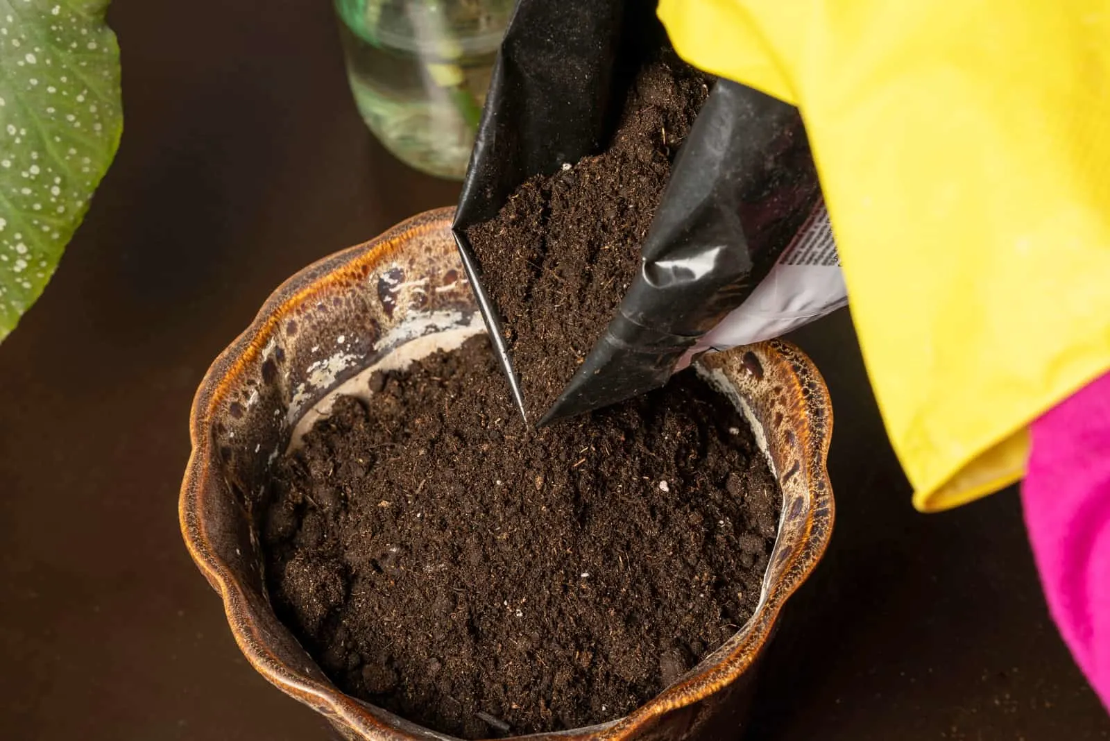 Hands in rubber gloves pour soil into a ceramic flower pot