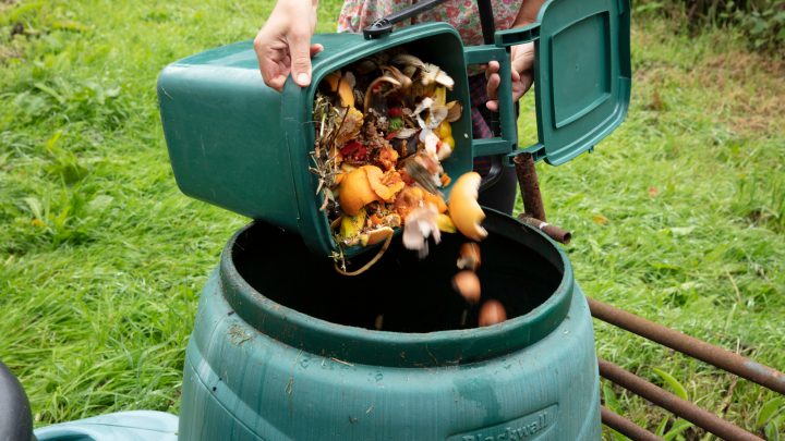 How Long Does It Take To Make Compost? (How To Speed Up)