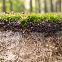 Layers of soil