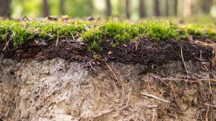 How Much Does A Yard Of Topsoil Weigh? Find Your Answer Here