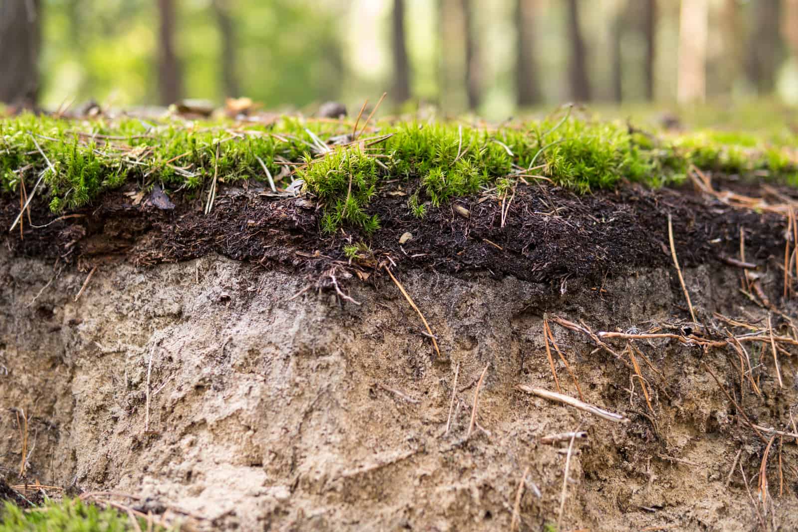 how-much-does-a-yard-of-topsoil-weigh-find-your-answer-here