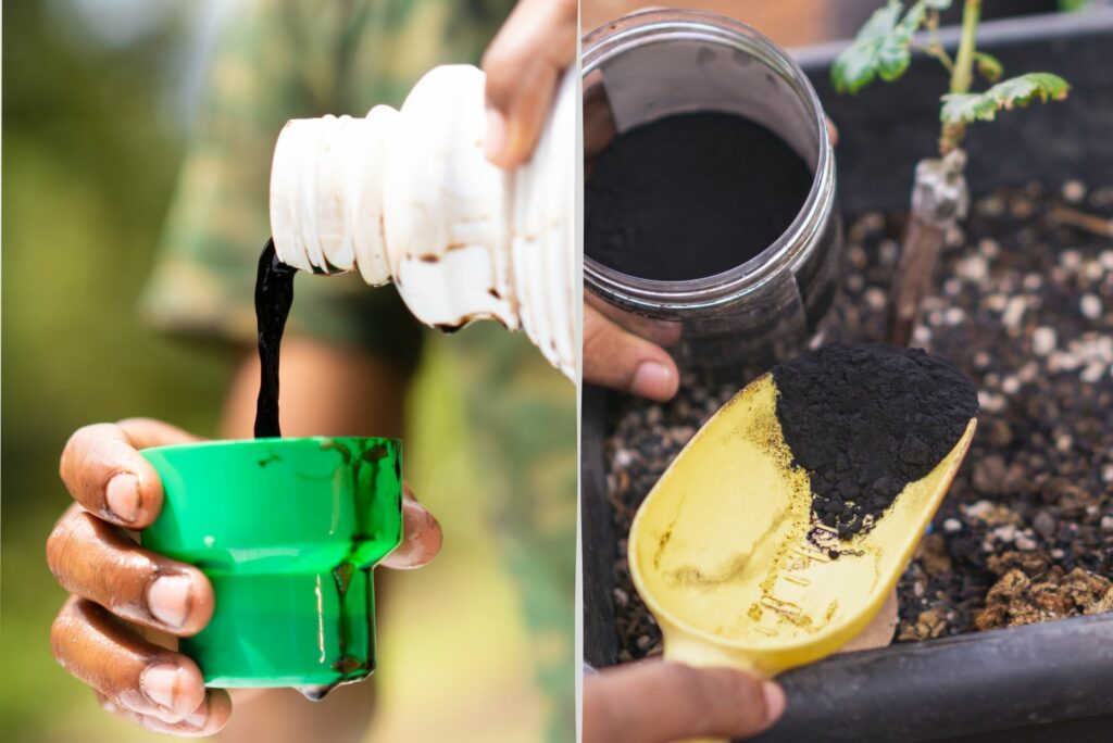 Humic Acid vs Fulvic Acid