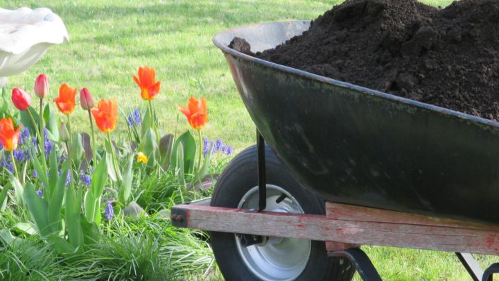Loam Based Compost: All You Need To Know