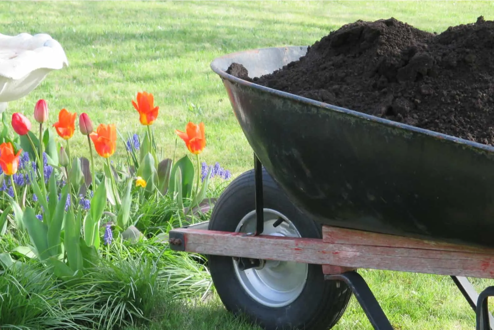 Loam Based Compost: All You Need To Know