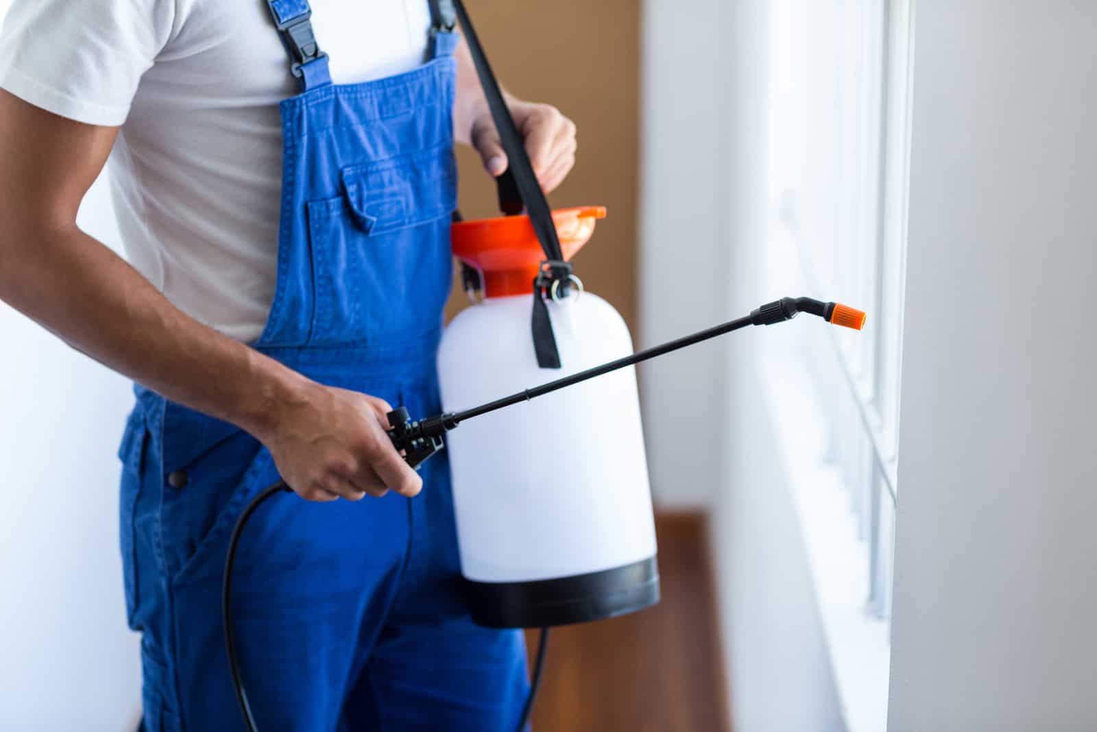 Midsection of pest control worker with sprayer standing at home