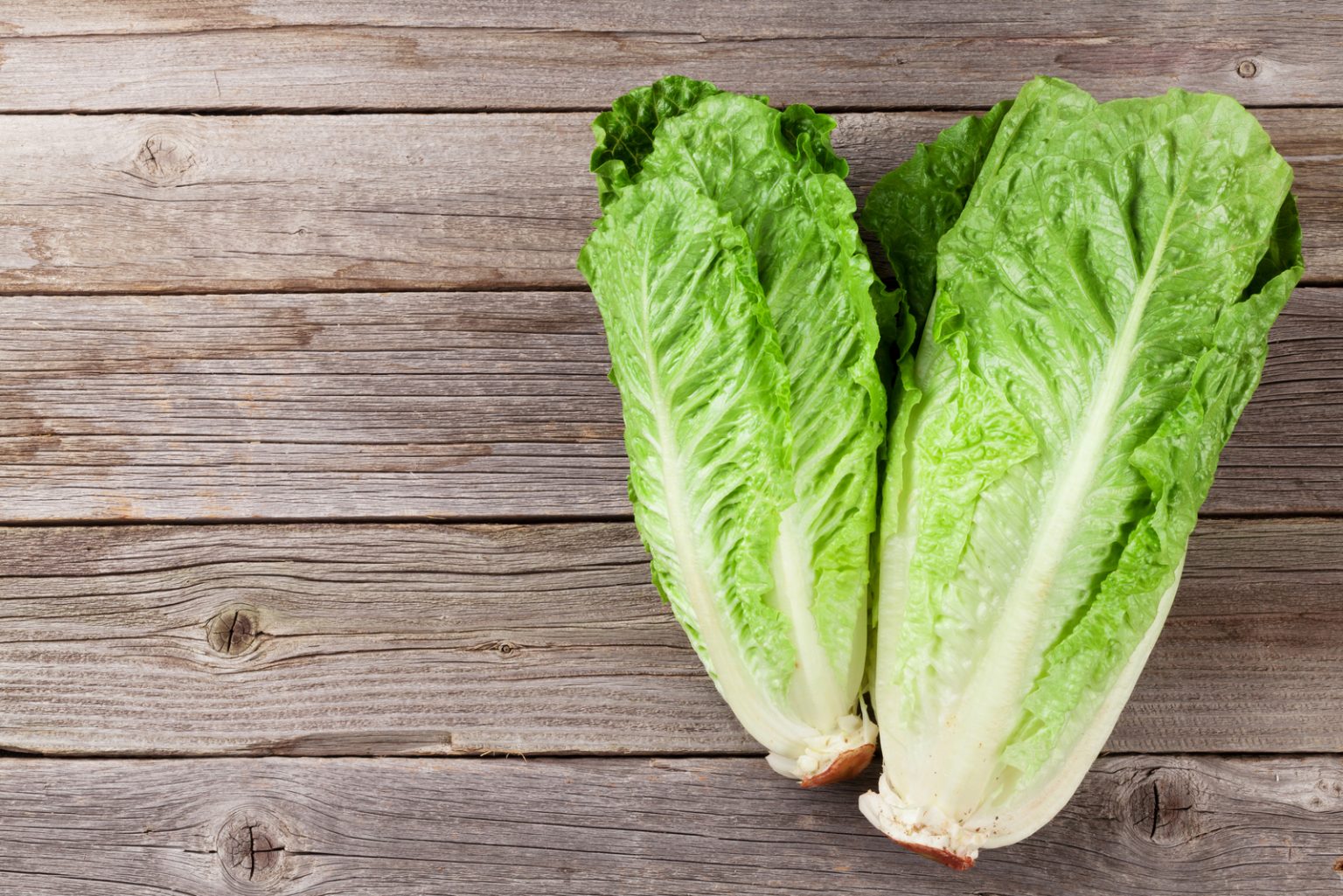 5 Reasons For Bitter Lettuce And How To Prevent It