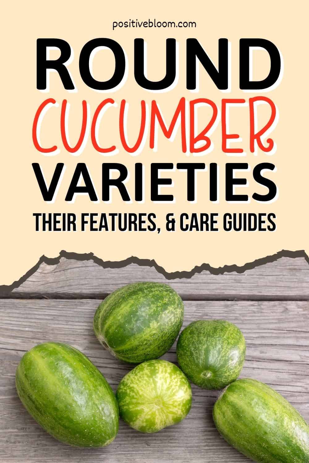 Round Cucumber Varieties, Their Features, And Care Guides Pinterest