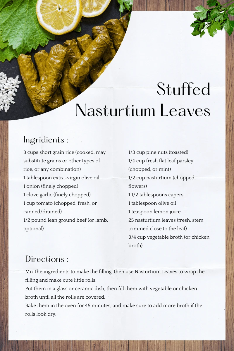 Stuffed Nasturtium Leaves recipe
