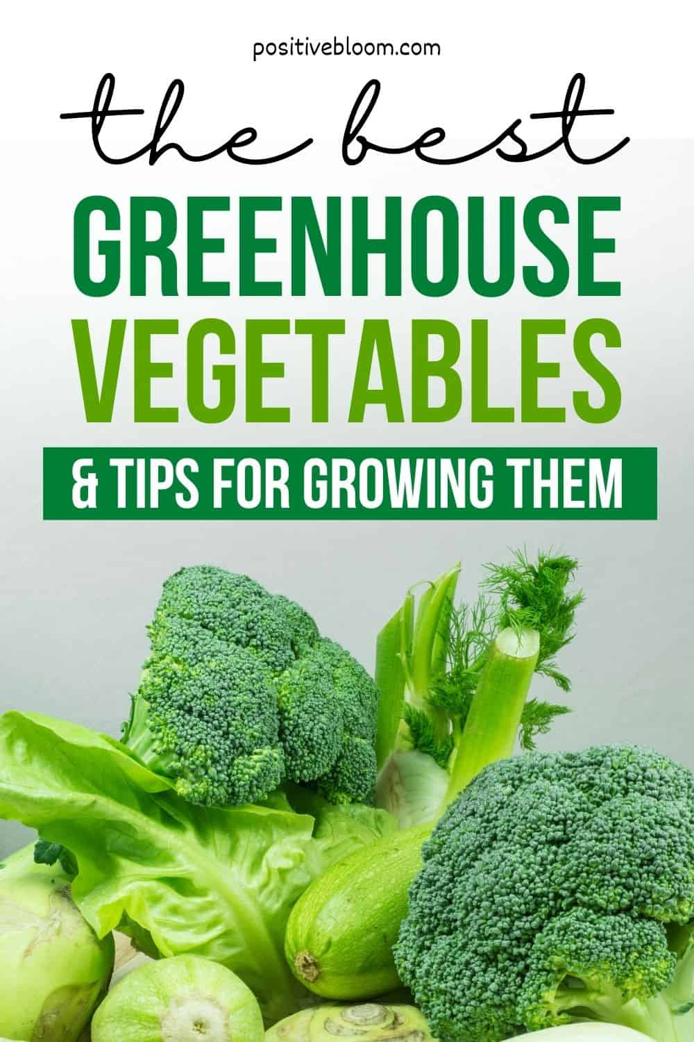 The Best Greenhouse Vegetables And Tips For Growing Them Pinterest