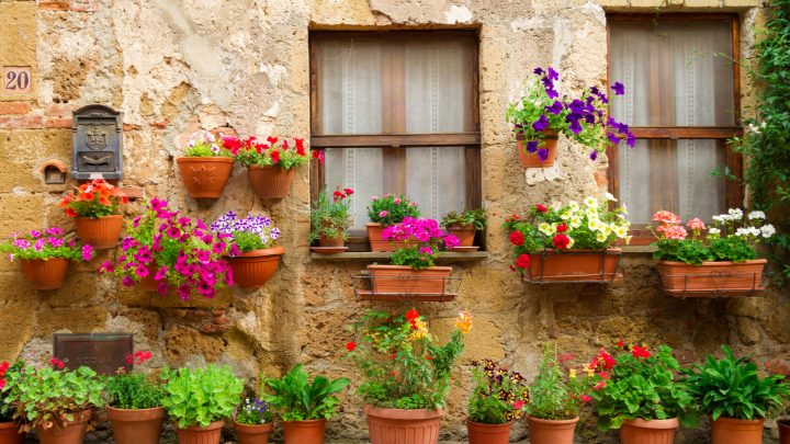 The Most Beautiful Italian Flowers & What They Symbolize