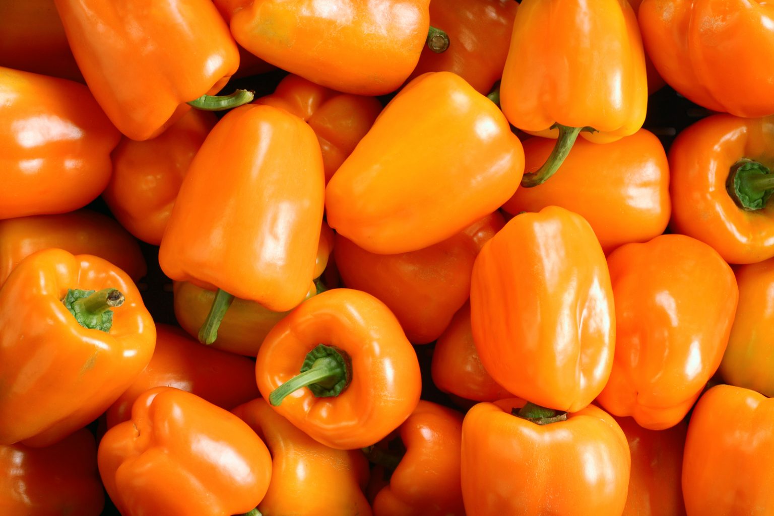 Habanero Pepper Scoville Ratings: Starting From The Hottest