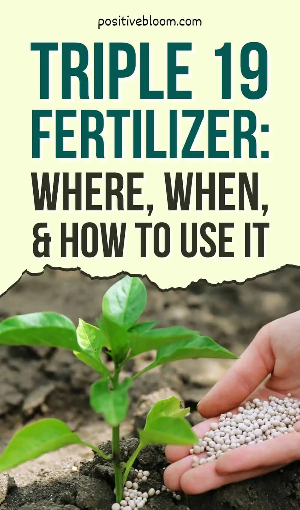 Triple 19 Fertilizer Where, When, And How To Use It