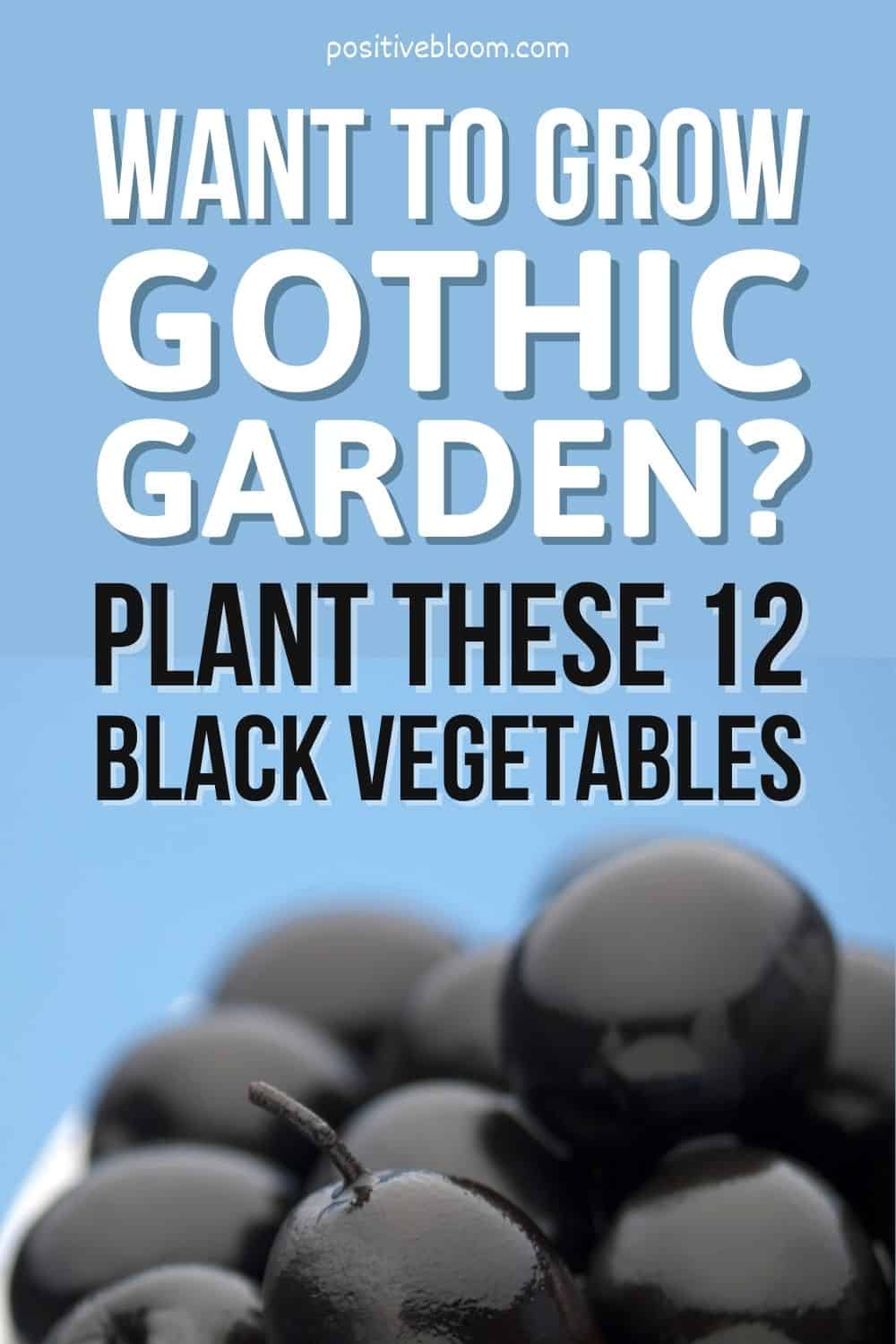 Want to Grow Gothic Garden Plant These 12 Black Vegetables Pinterest