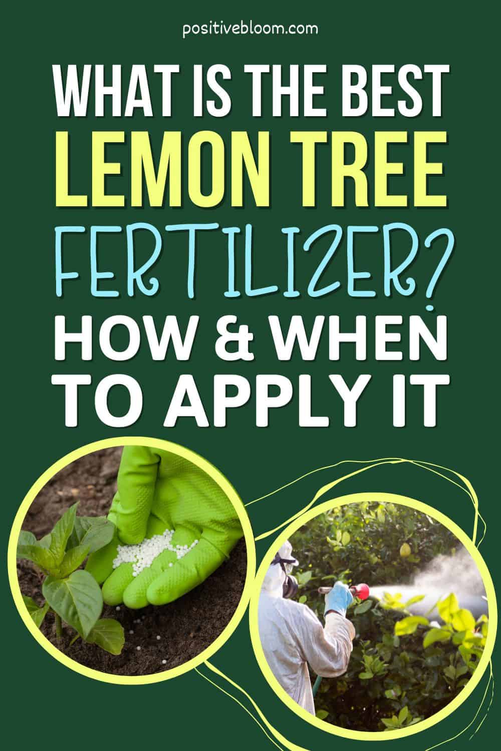 What Is The Best Lemon Tree Fertilizer How And When To Apply It Pinterest