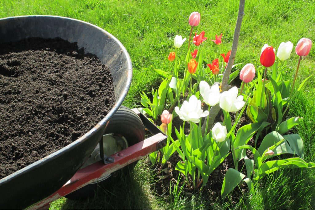 How Much Does A Yard Of Topsoil Weigh? Find Your Answer Here