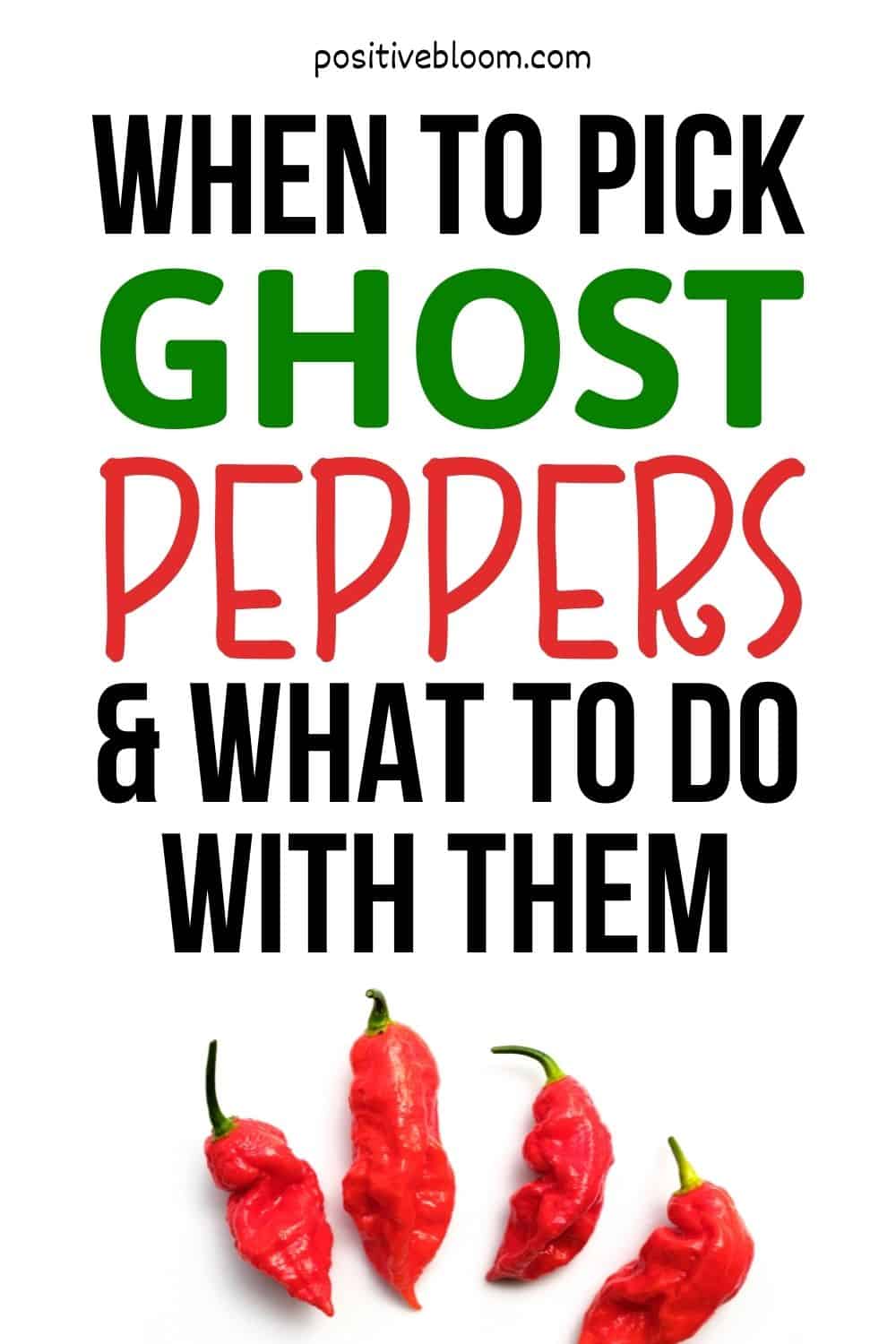 When To Pick Ghost Peppers And What To Do With Them Pinterest