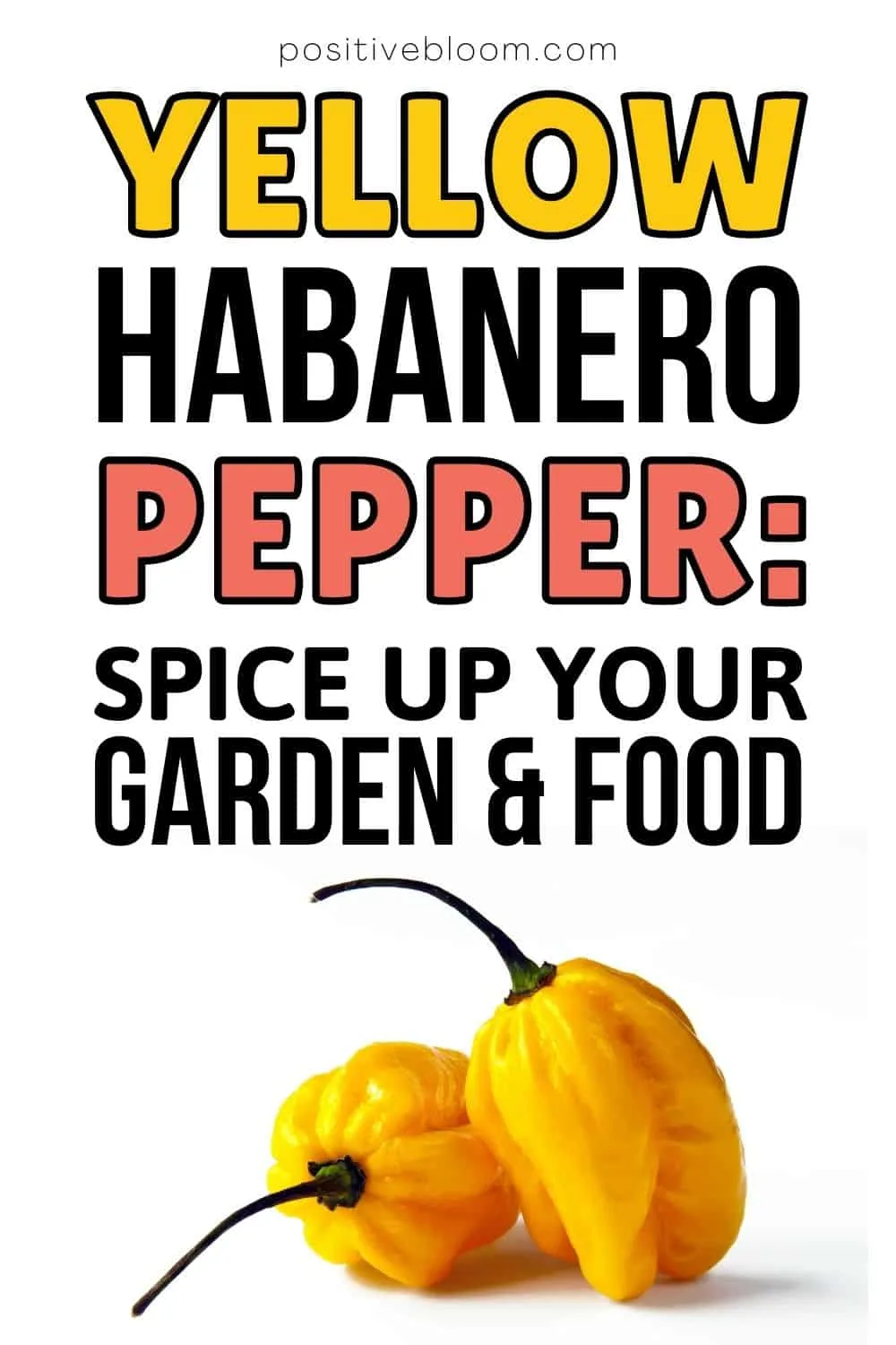 Yellow Habanero Pepper Spice Up Your Garden And Food