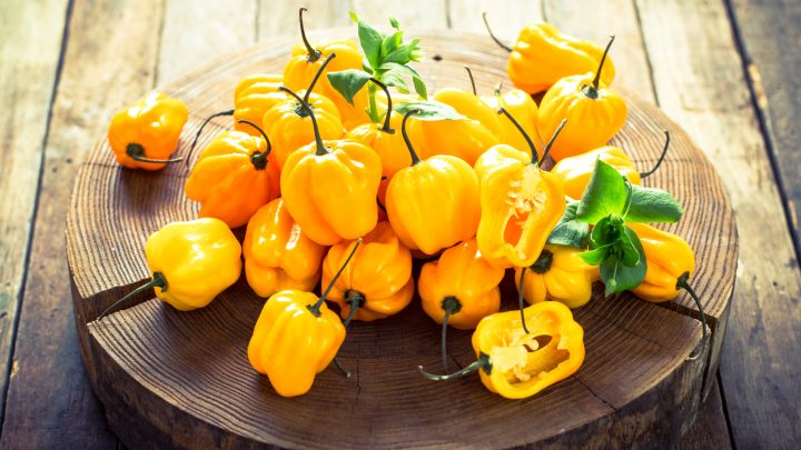 Yellow Habanero Pepper: Spice Up Your Garden And Food