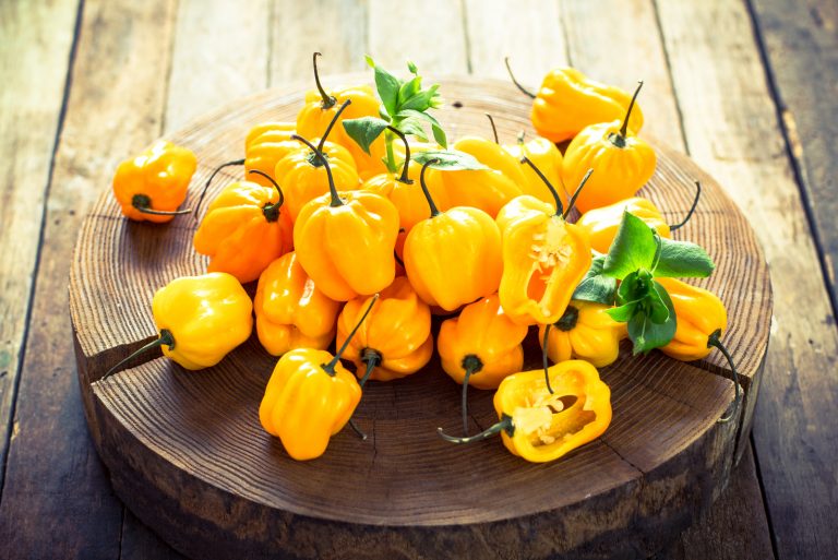 yellow habanero peppers on wooden desk