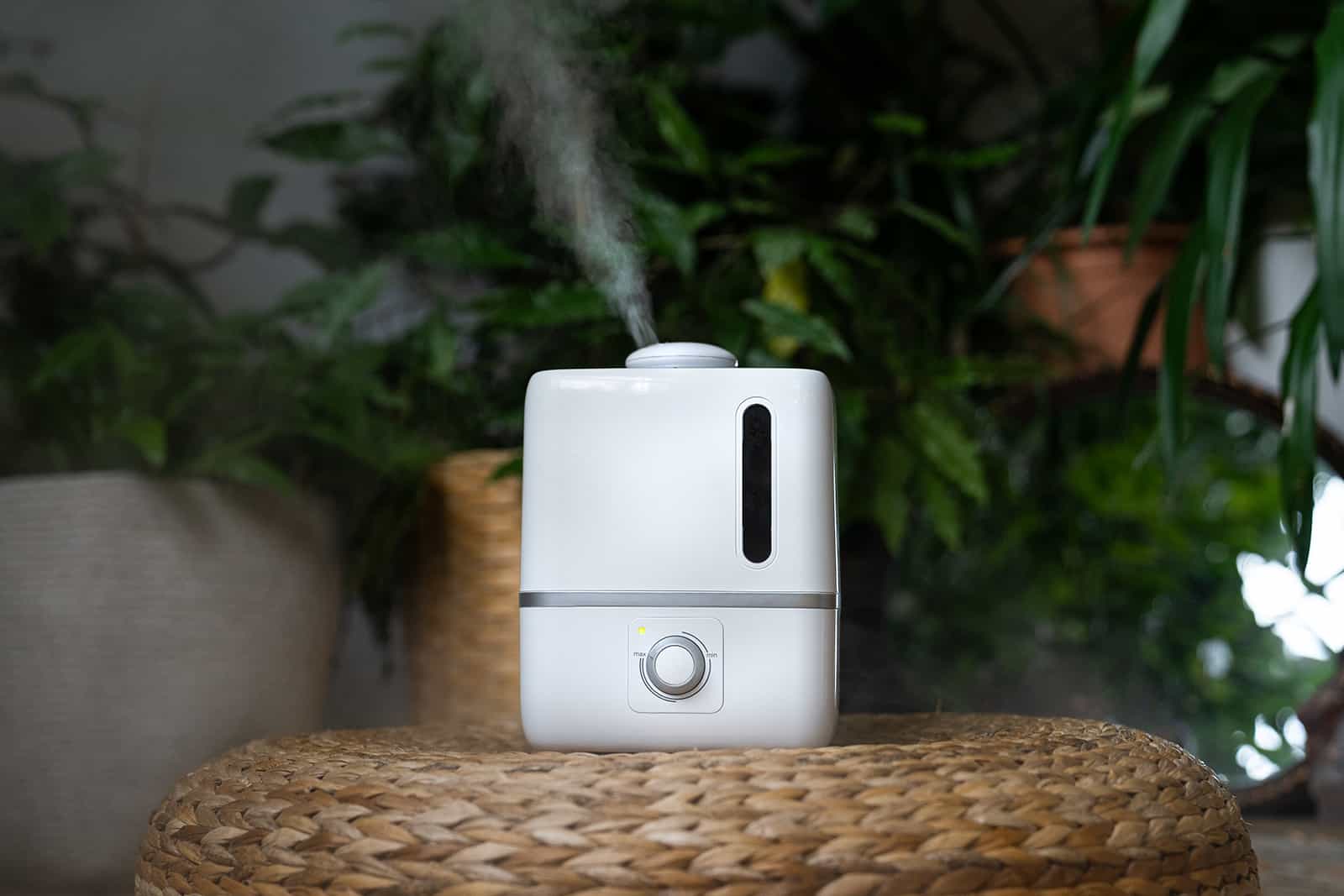 air humidifier in home garden among plants