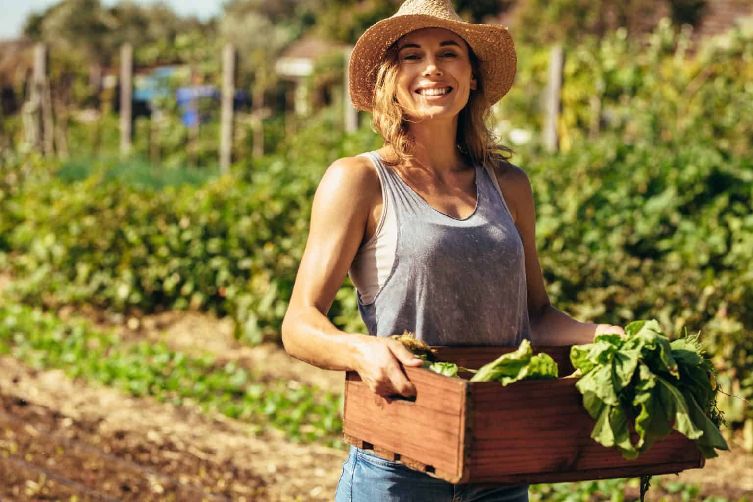 60 Vegetable Garden Quotes That Capture The Joy of Gardening