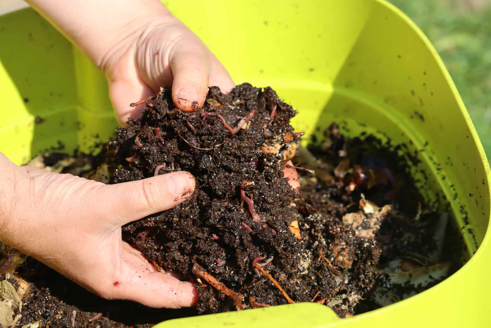 compost ready for usage
