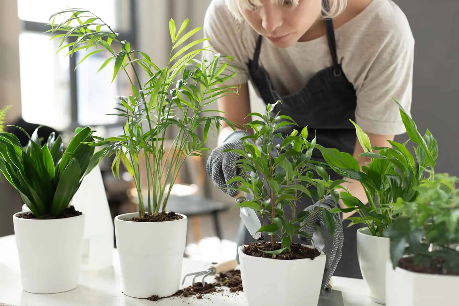 concentrated woman observing plants indoor