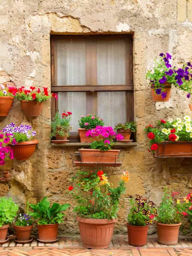 italian street full of flowers