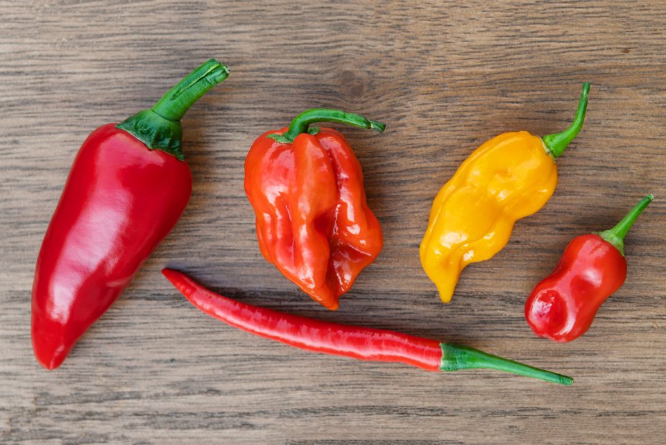 Habanero Pepper Scoville Ratings Starting From The Hottest