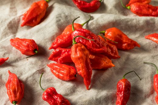 When To Pick Ghost Peppers And What To Do With Them
