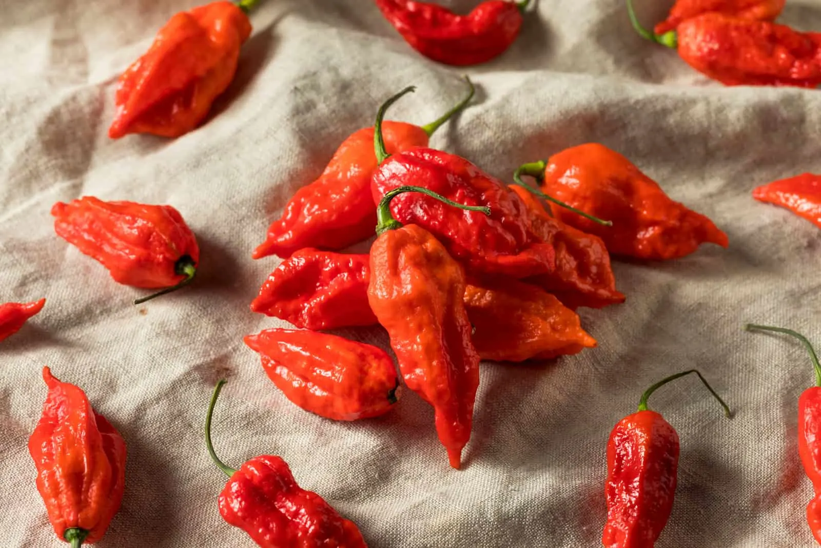 fresh ghost peppers