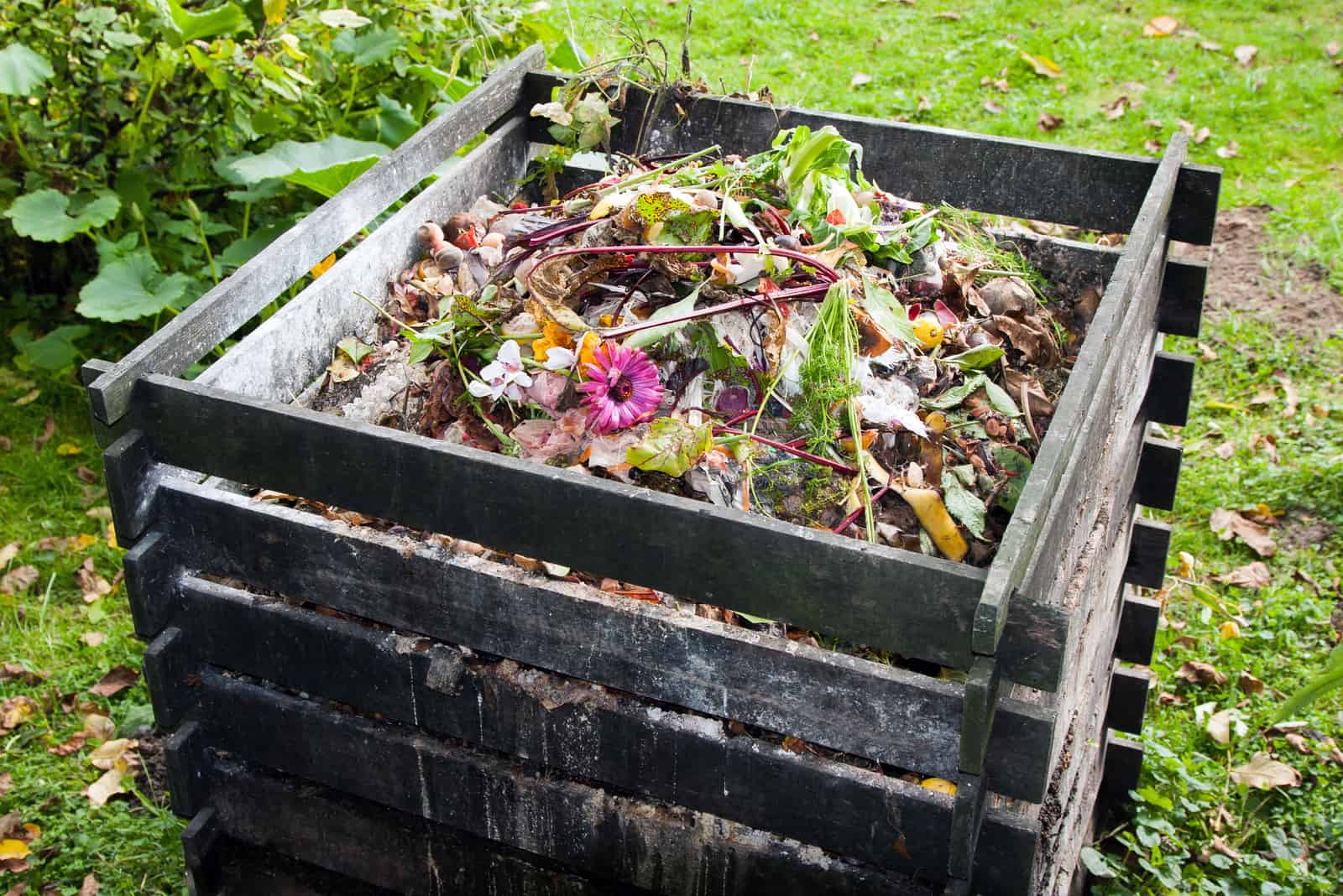 full compost bin in garden