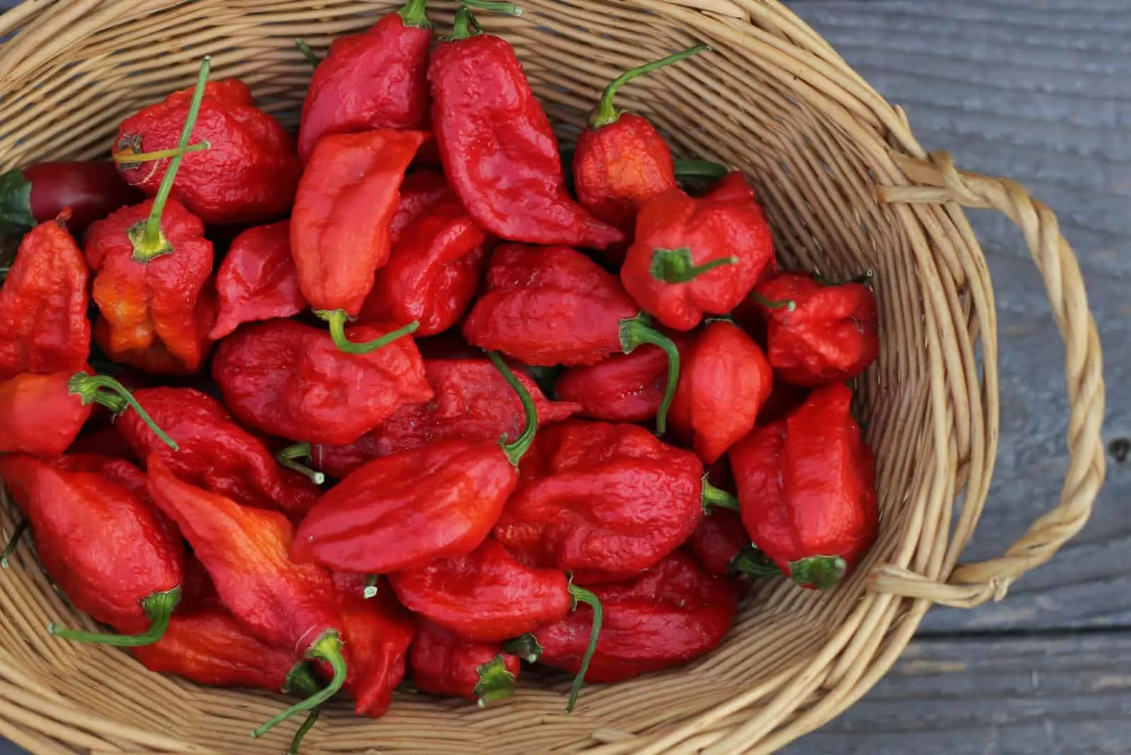 ghost peppers in a basket