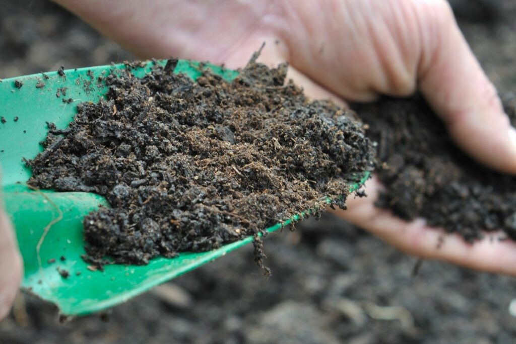 hand man holding a gardening tool full with compost for garden