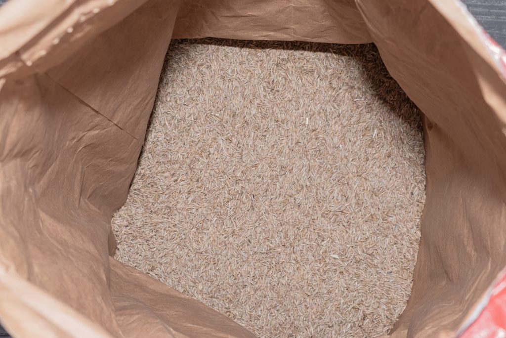 Does Grass Seed Go Bad? Check Out The Answer Here!