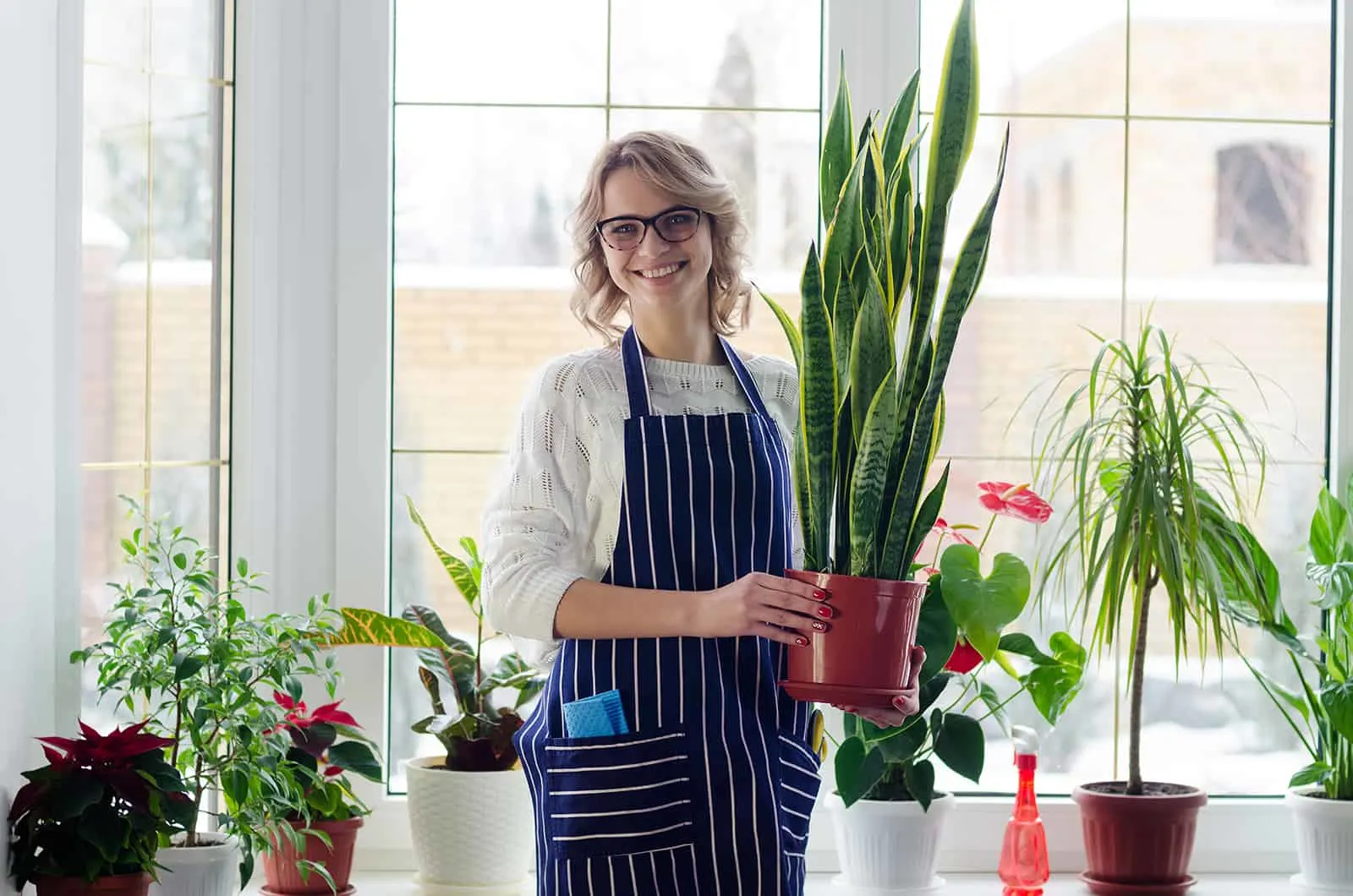 smiling woman holding a snake plant in pot