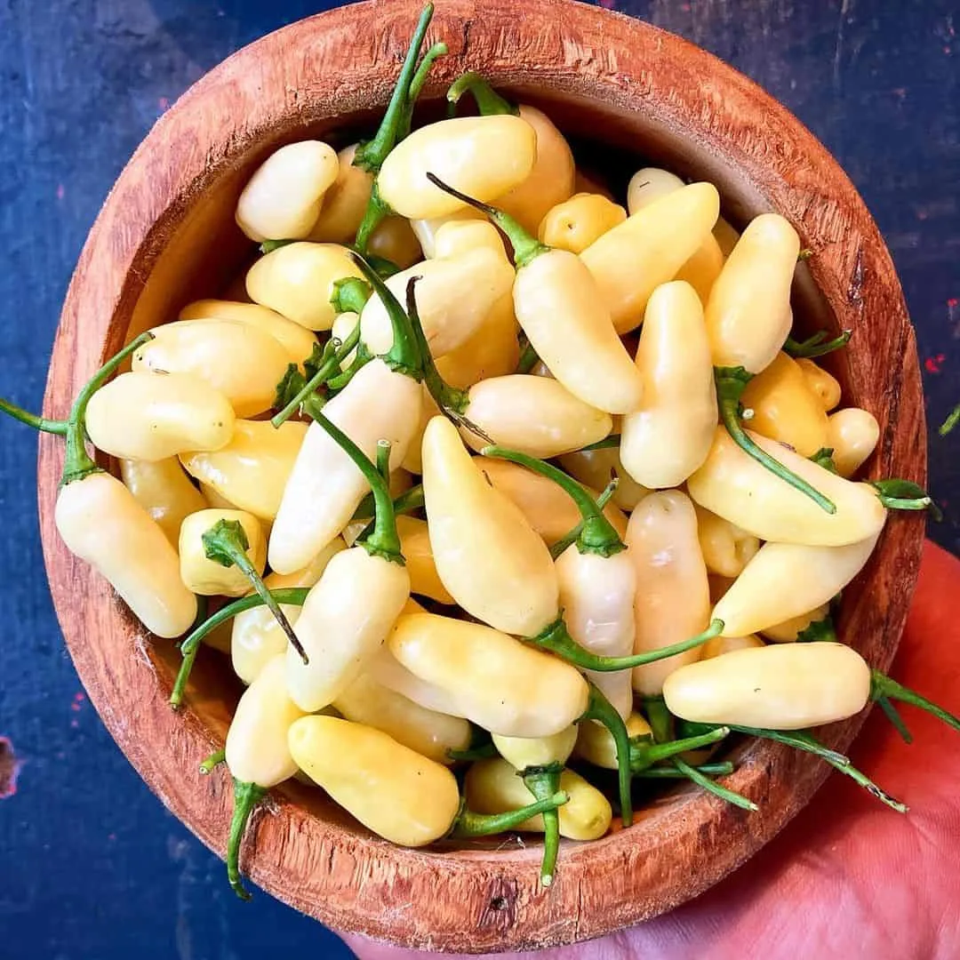 white peppers in bowl
