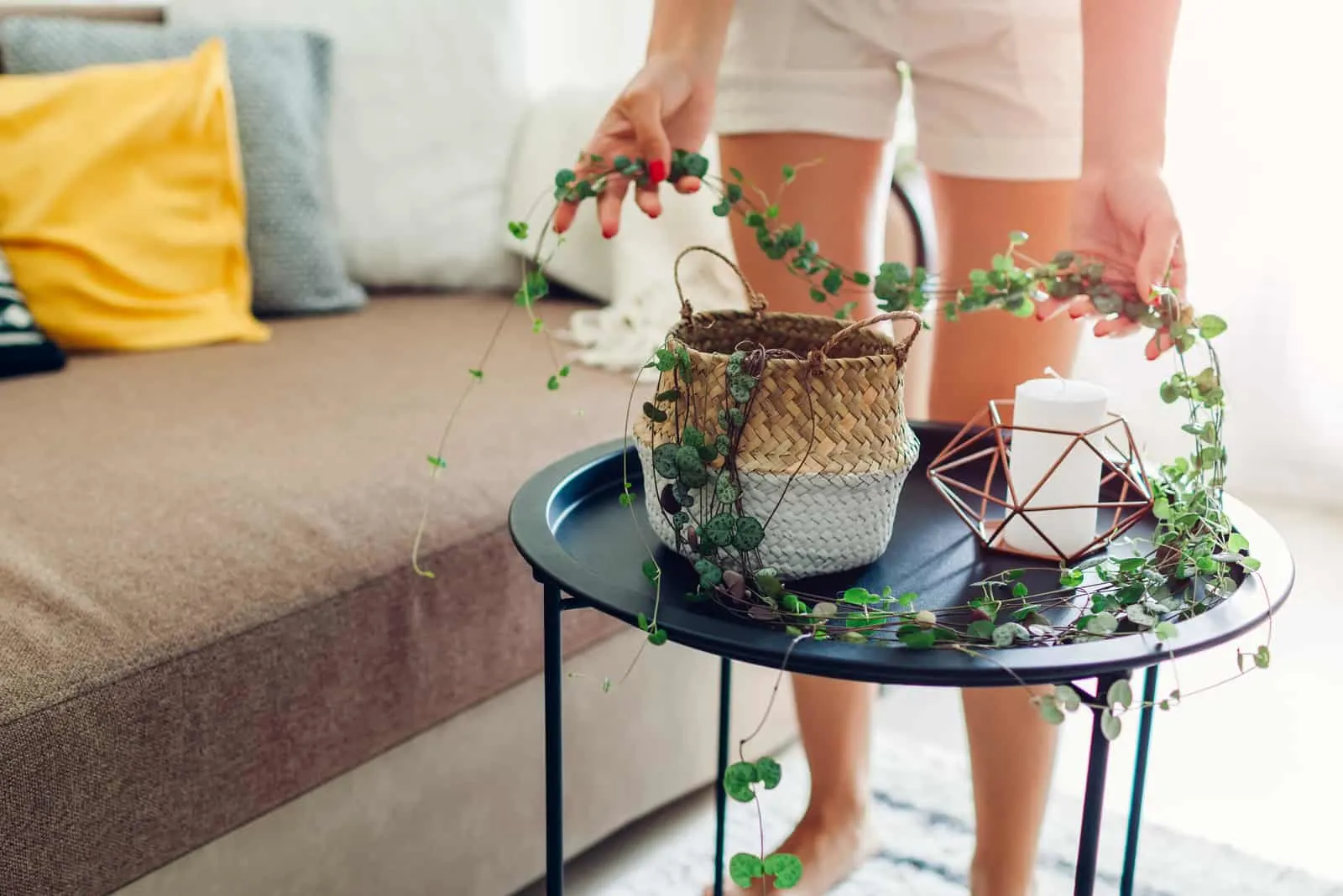 woman moving String Of Hearts plant.jpg